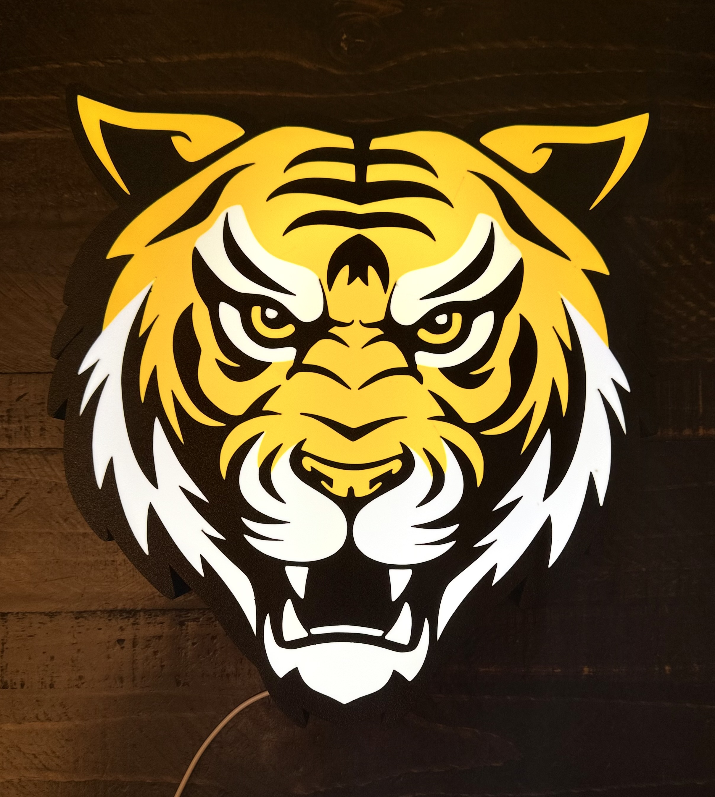 Custom logo light box example