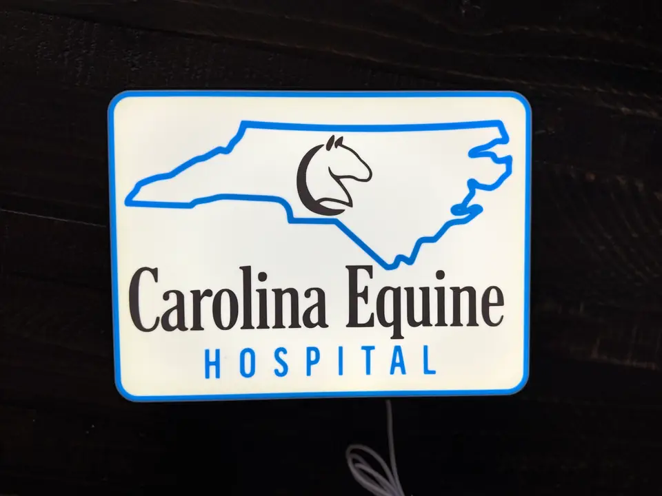 Custom light box build